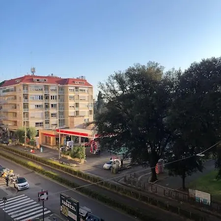 Boutique In Flaminio Area Apartment